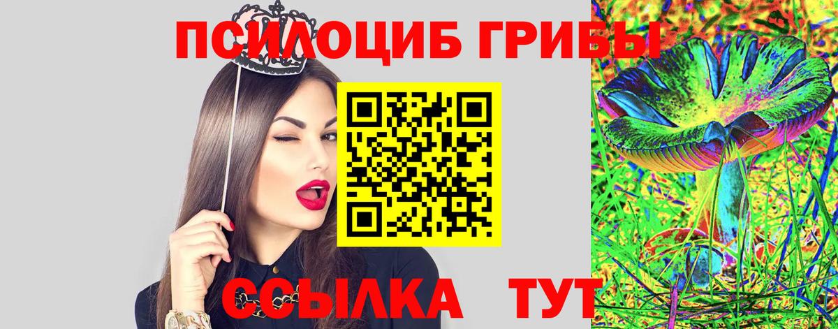 Псилоцибиновые грибы Magic Shrooms Ленинск-Кузнецкий