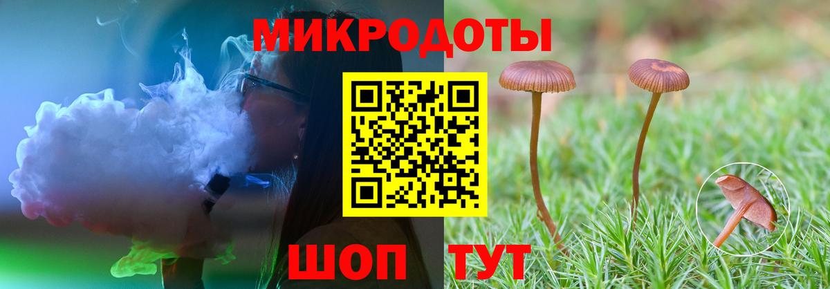 Ленинск-Кузнецкий  Галлюциногенные грибы ЛСД  Вход с VPN 